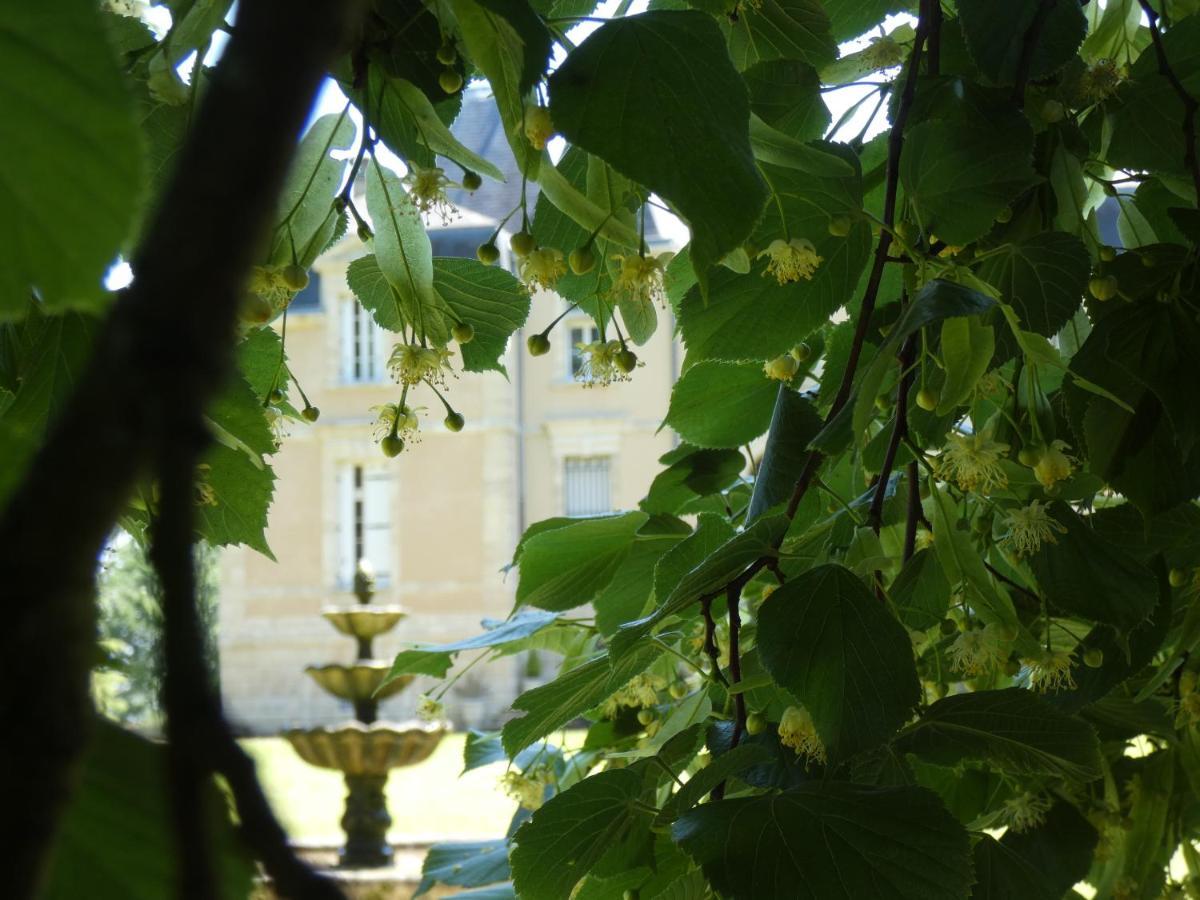 Hotel Château Marith - Etablissement climatisé avec Piscine Clairac  Exterior foto
